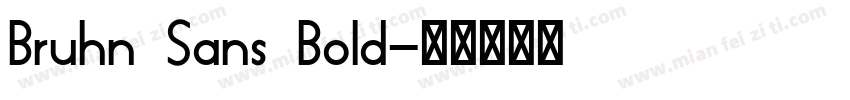 Bruhn Sans Bold字体转换